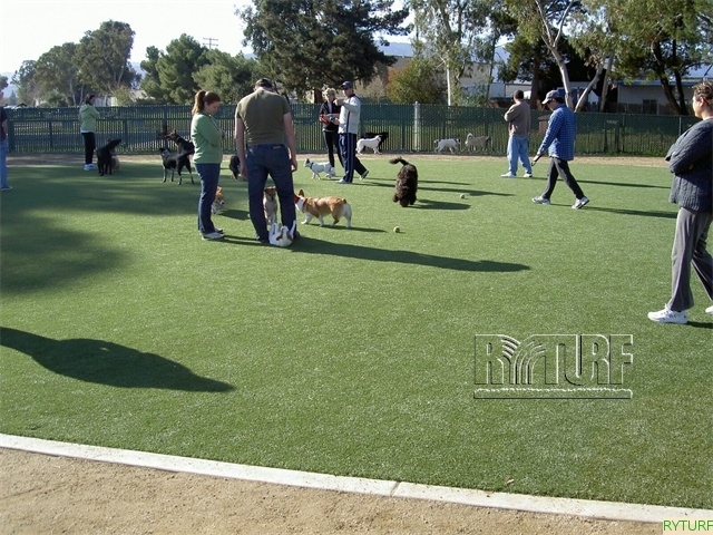 Pet park Pet park
